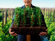 Salibro: una nueva herramienta para el control de nematodos en tomate