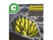 Lea la última edición de El Tribuno Campo