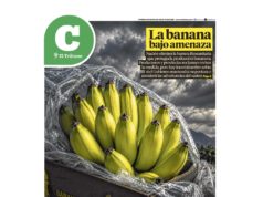 Lea la última edición de El Tribuno Campo