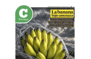 Lea la última edición de El Tribuno Campo