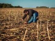 Soluciones adaptadas a los desafíos del norte