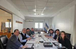 Ley de Semillas: Mesa de Enlace y semilleros buscan un acuerdo