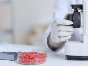 Carne: el INTA estudia una tecnología para reducir Escherichia coli