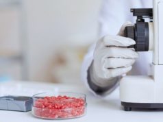 Carne: el INTA estudia una tecnología para reducir Escherichia coli