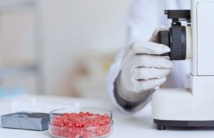 Carne: el INTA estudia una tecnología para reducir Escherichia coli