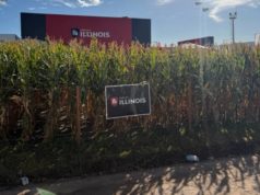 Illinois apuesta a la genética tropical en el NOA y NEA🔊