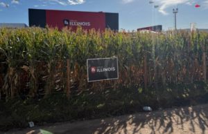 Illinois apuesta a la genética tropical en el NOA y NEA🔊