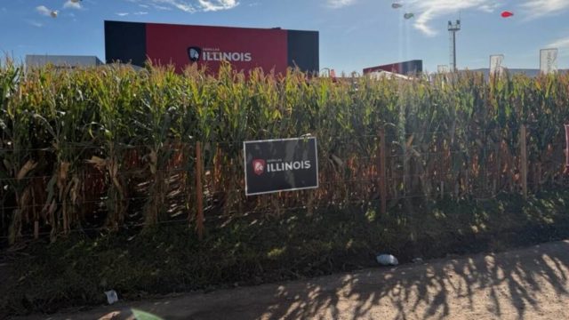 Illinois Semillas