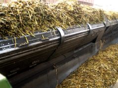 Argentina asignó el cupo de azúcar crudo para EE.UU.