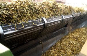Argentina asignó el cupo de azúcar crudo para EE.UU.