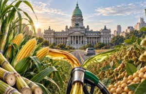 El Senado dio media sanción al nuevo régimen de biocombustibles