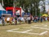 ExpoBRA 2026 cerró con genética, buenos valores para la genética