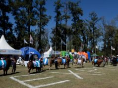 ExpoBRA 2026: la genética gana protagonismo para mejorar la eficiencia ganadera