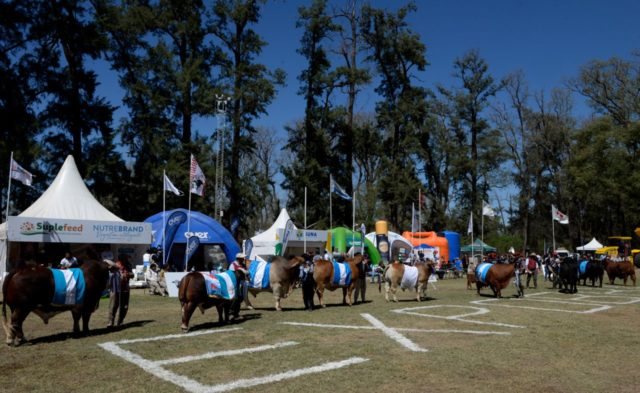 expobra 2026