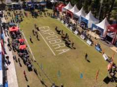 ExpoBRA 2026: evolución genética y adaptación marcaron la jura de hembras