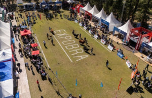 ExpoBRA 2026: evolución genética y adaptación marcaron la jura de hembras