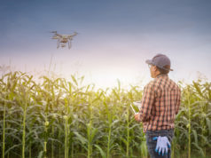 Drones agrícolas: el costo por hectárea no define la tarifa