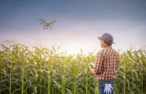 Drones agrícolas: el costo por hectárea no define la tarifa