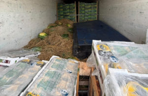 Detectan en Chaco una carga de frutas con destino a Cerrillos