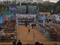 La calidad abre un camino para diferenciar la carne argentina