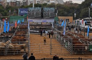 La calidad abre un camino para diferenciar la carne argentina