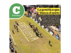 Lea la última edición de El Tribuno Campo