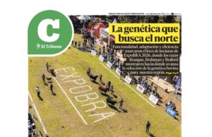 Lea la última edición de El Tribuno Campo