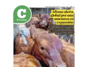 Lea la última edición de El Tribuno Campo