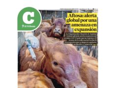 Lea la última edición de El Tribuno Campo