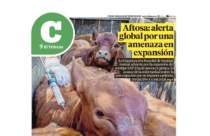 Lea la última edición de El Tribuno Campo