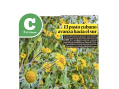 Lea la última edición de El Tribuno Campo