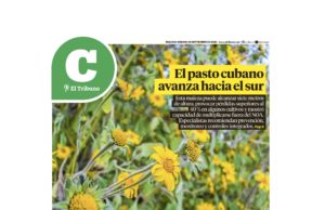 Lea la última edición de El Tribuno Campo