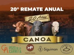 Salta: Canoa celebra 20 años con un nuevo remate de genética