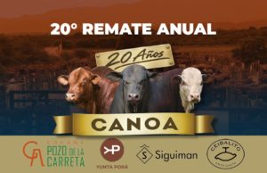 Salta: Canoa celebra 20 años con un nuevo remate de genética