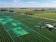 Datos e inteligencia artificial ganan terreno en las decisiones del agro