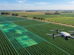 Datos e inteligencia artificial ganan terreno en las decisiones del agro