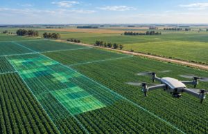 Datos e inteligencia artificial ganan terreno en las decisiones del agro