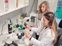 Mendoza impulsa la biotecnología reproductiva para conservar y mejorar su genética ganadera