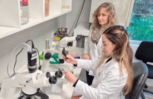 Mendoza impulsa la biotecnología reproductiva para conservar y mejorar su genética ganadera