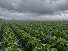 Si hay más agua y más calor, que haya más protección