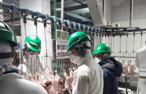 El IICA y ALA actualizaron la guía de regulaciones para el comercio avícola