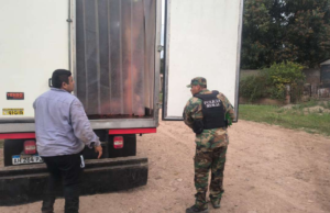 Pichanal: decomisan 15 toneladas de carne vacuna sin documentación