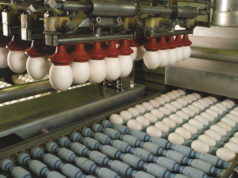 Los ovoproductos marcaron un récord de exportaciones