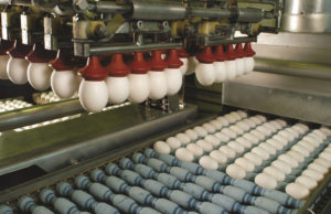 Los ovoproductos marcaron un récord de exportaciones