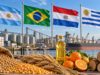 El agro argentino podría haber exportado el doble si crecía al ritmo de sus vecinos