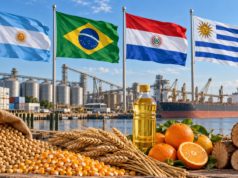 El agro argentino podría haber exportado el doble si crecía al ritmo de sus vecinos