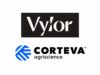 Corteva completa su división: Vylor queda a cargo del negocio de semillas y genética