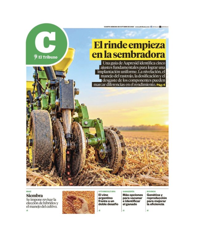 tapa 25-20-2026