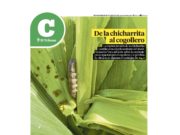 Lea la última edición de El Tribuno Campo