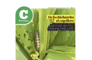 Lea la última edición de El Tribuno Campo